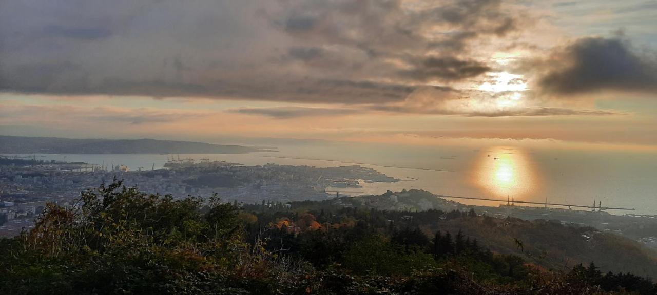 Da Noi Panzió Trieszt Kültér fotó